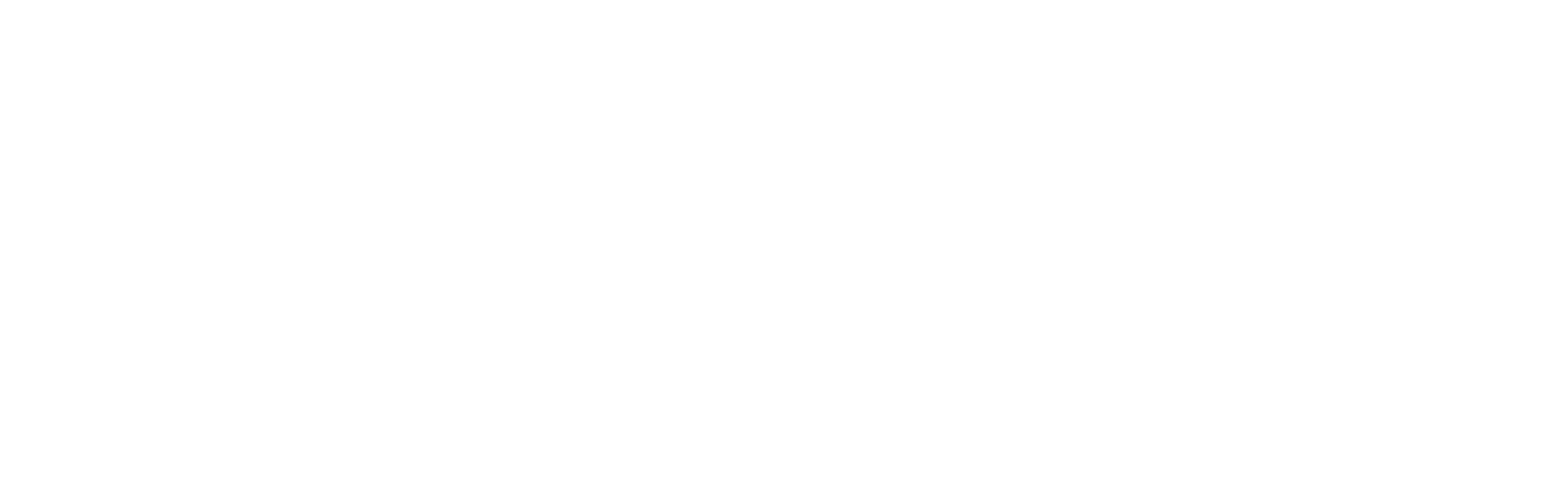 Next Generation Experience